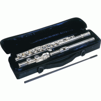 Trevor J James TJ10Xe Flute Outfit