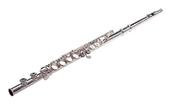 Trevor James ''Cantabile'' SOLID SILVER HEAD Flute