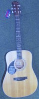Freshman FA200D Left Hand Acoustic Guitar
